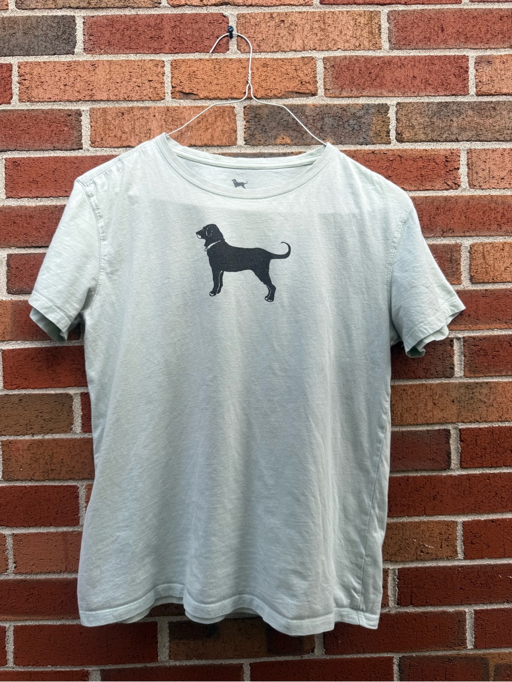 The Black Dog Martha’s Vineyard 2020 Classic Logo T-Shirt Seafoam Green Medium